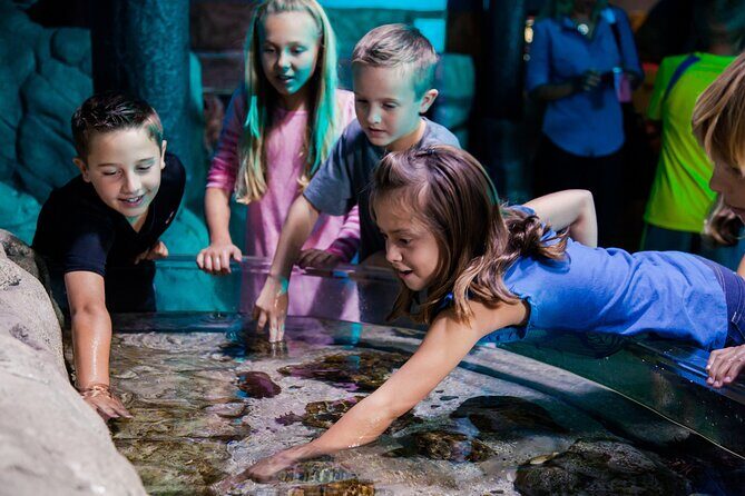 SEA LIFE Aquarium Arizona Admission Ticket - Combo upgrade with LEGOLAND Discovery Center Arizona (and the child rule)