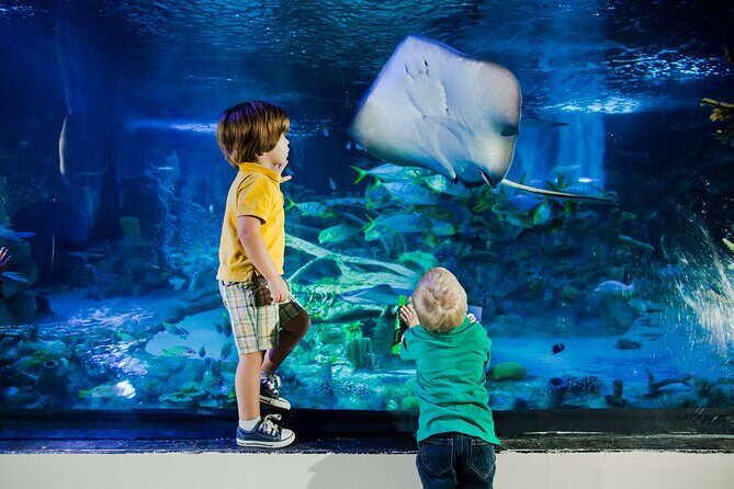 SEA LIFE Aquarium Arizona Admission Ticket - Who should book this SEA LIFE Arizona ticket, and who should think twice