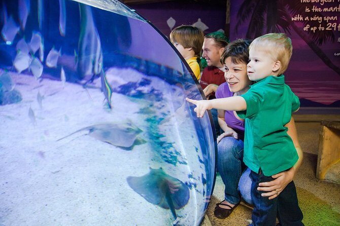 SEA LIFE Aquarium Arizona Admission Ticket - Stop 1 at Arizona Mills: quick arrival, easy next-door plans