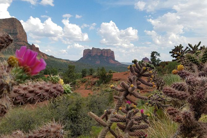 Sedona and Grand Canyon Full-Day Tour - What’s included (and what you’ll pay for on your own)