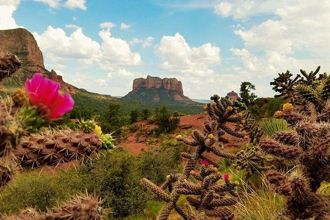 Sedona Day Trip from Phoenix - 7:30 am Pickup and the Air-Conditioned Ride That Sets the Tone