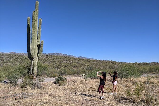Sedona Day Trip from Phoenix - Main Street Sedona: Lunch, Shops, and Picking Your Own Tempo