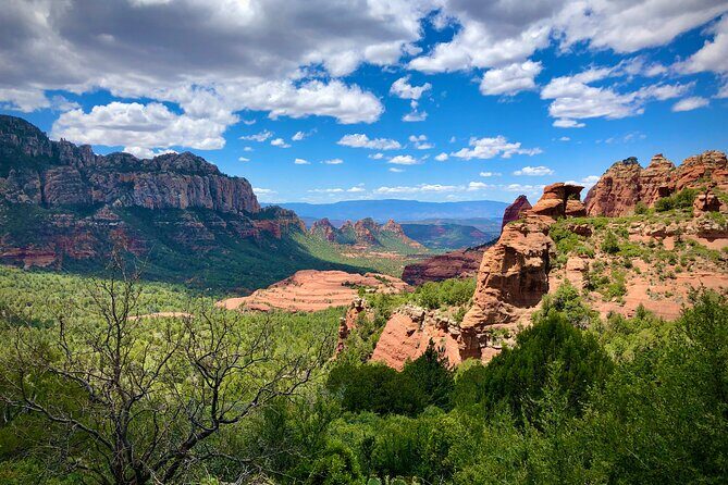 Small-Group or Private Grand Canyon with Sedona Tour from Phoenix - Morning route: saguaro desert, Flagstaff edges, and the climb toward the rim