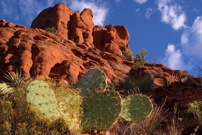 Small Group or Private Sedona and Native American Ruins Day Tour - Chapel of the Holy Cross: A Quick Stop With Real Visual Impact