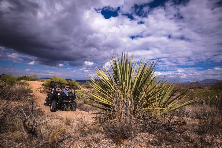 Sonoran Desert: Guided 2-Hour UTV Adventure - What You’ll Wear and What You Can’t Bring