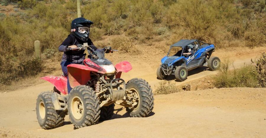 Sonoran Desert: Guided UTV or ATV Desert Tour - Key things to know before you go