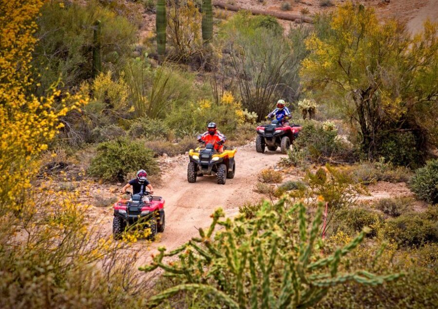 Sonoran Desert: Guided UTV or ATV Desert Tour - The 2-hour rhythm: training, dust, creek crossings, and Bradshaw views