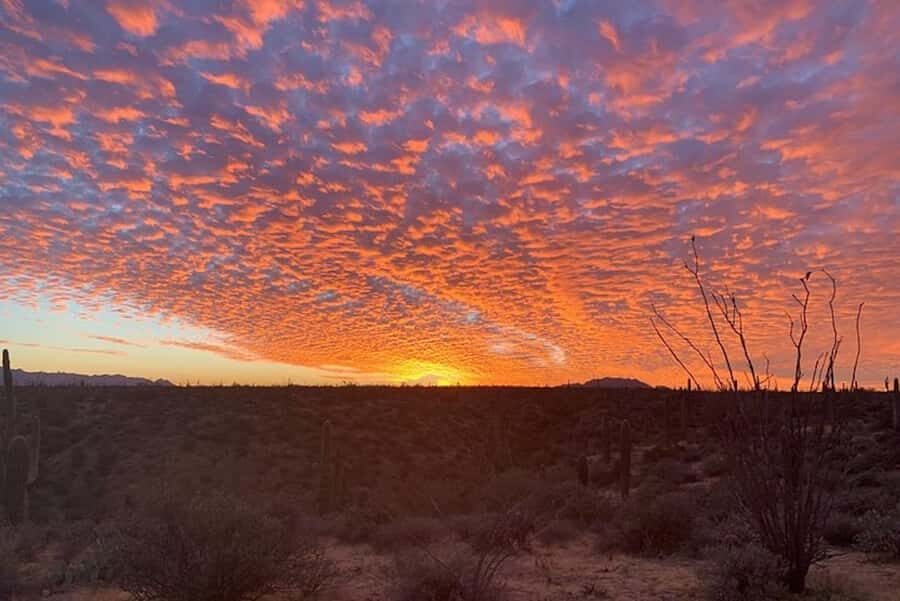 Sonoran Desert: Sunset Jeep Tour with Tonto National Forest - Meeting at 8711 E Pinnacle Peak Rd f 110 and the short transfer to the trails