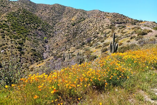 Sonoran Desert To MountainTop Jeep Tour minutes from Scottsdale - From Carefree into Tonto National Forest: the longest scenic stretch