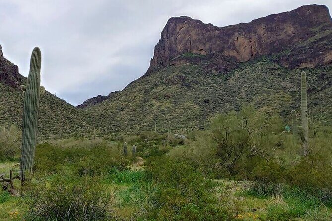 Southern Arizona Full-Day Historical Tour from Phoenix - Private Tour - Tumacácori: a calm mission walk with Roosevelt-era protection