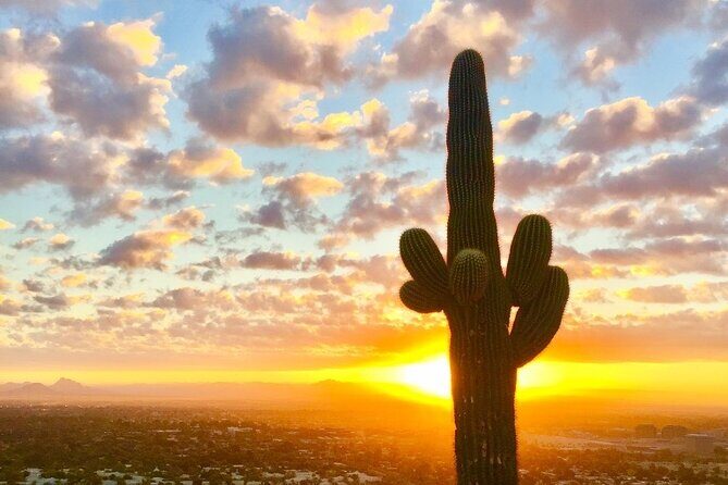 Spectacular Sunrise Guided Hike in Phoenix, Arizona - Stop 2 and 3: Into Phoenix Mountains Preserve for desert life and terrain reading