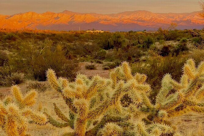 Spectacular Sunrise Guided Hike in Phoenix, Arizona - Reaching the peak: the Valley of the Sun view from over 40 miles away