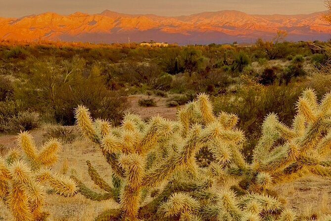 Stunning Sunset or Sunrise Guided Hiking Adventure in Phoenix - The 2-hour flow: what happens from trailhead to viewpoint to refreshments