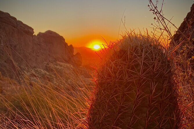 Stunning Sunset or Sunrise Guided Hiking Adventure in Phoenix - Customize your hike: mileage, grade, and terrain choices that matter